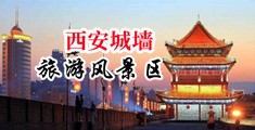 色淫骚逼妓女激情网中国陕西-西安城墙旅游风景区